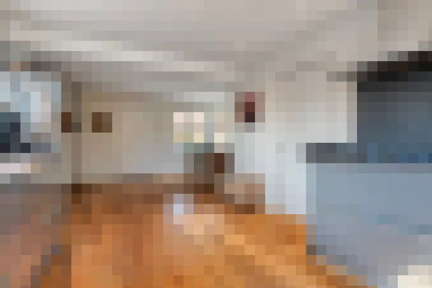 De Veurdele 58 Nijeveen thumbnail 13