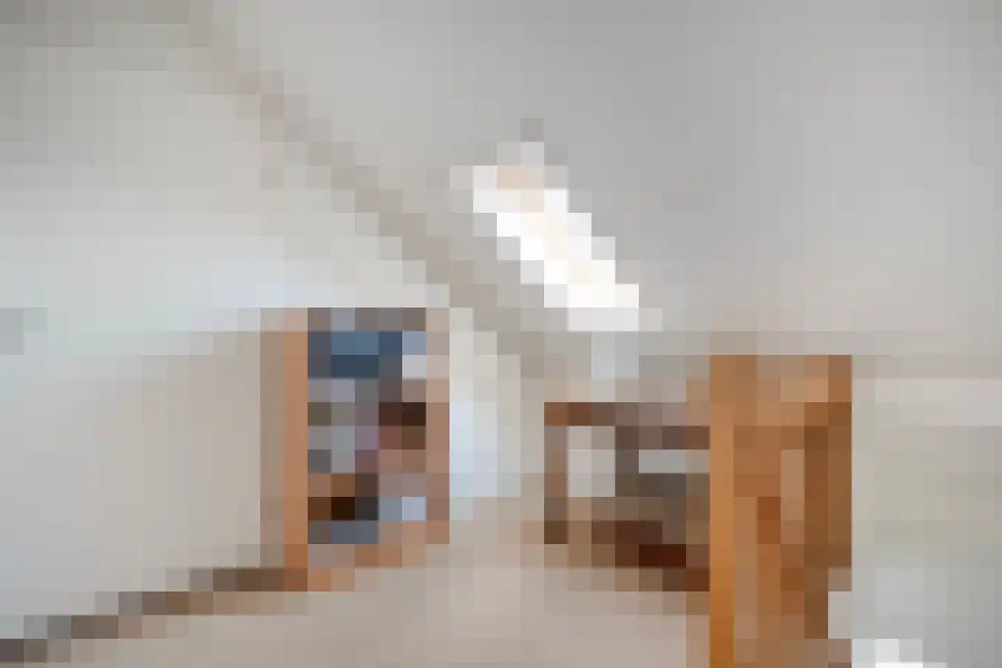 De Veurdele 58 Nijeveen thumbnail 35