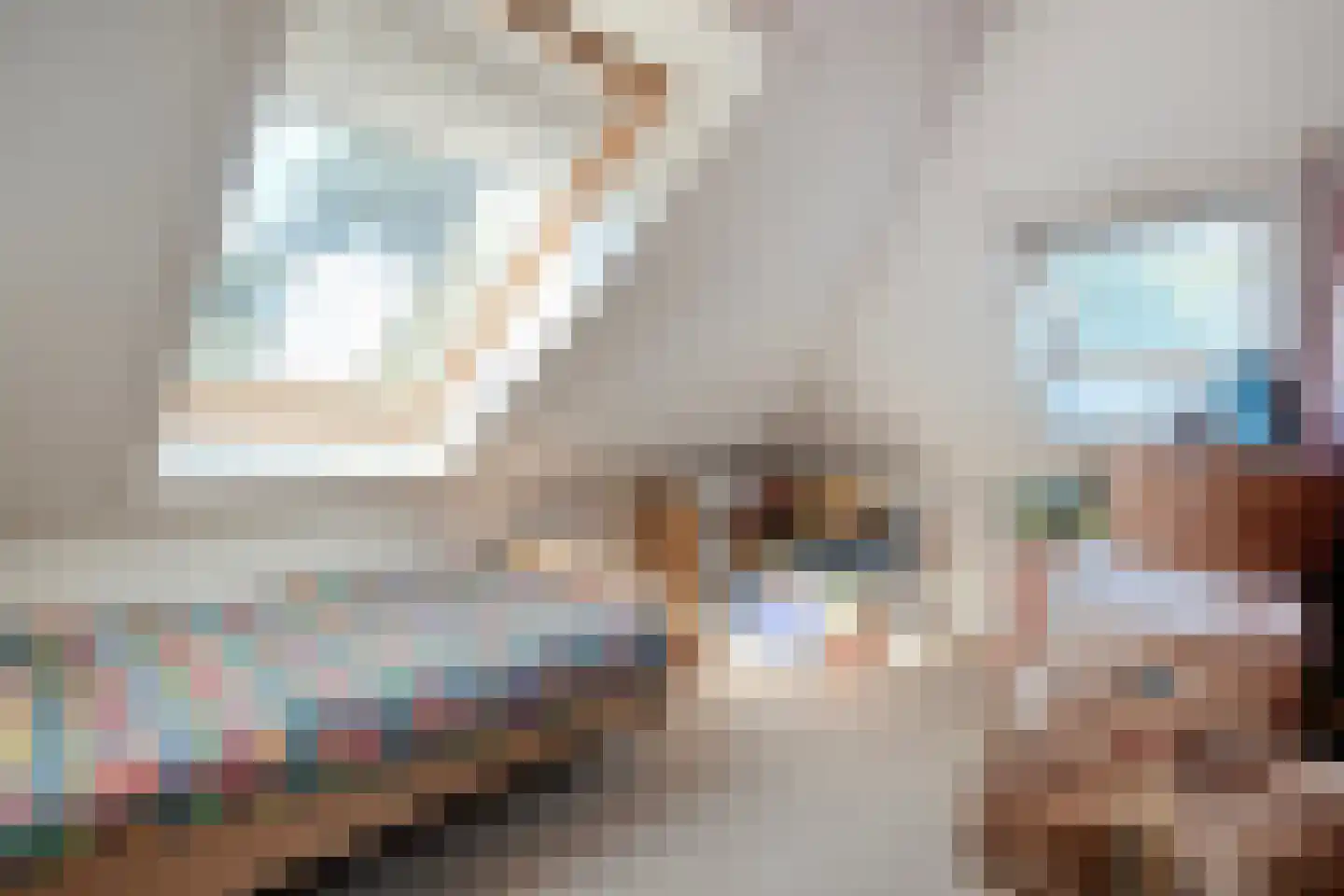 De Veurdele 58 Nijeveen thumbnail 39