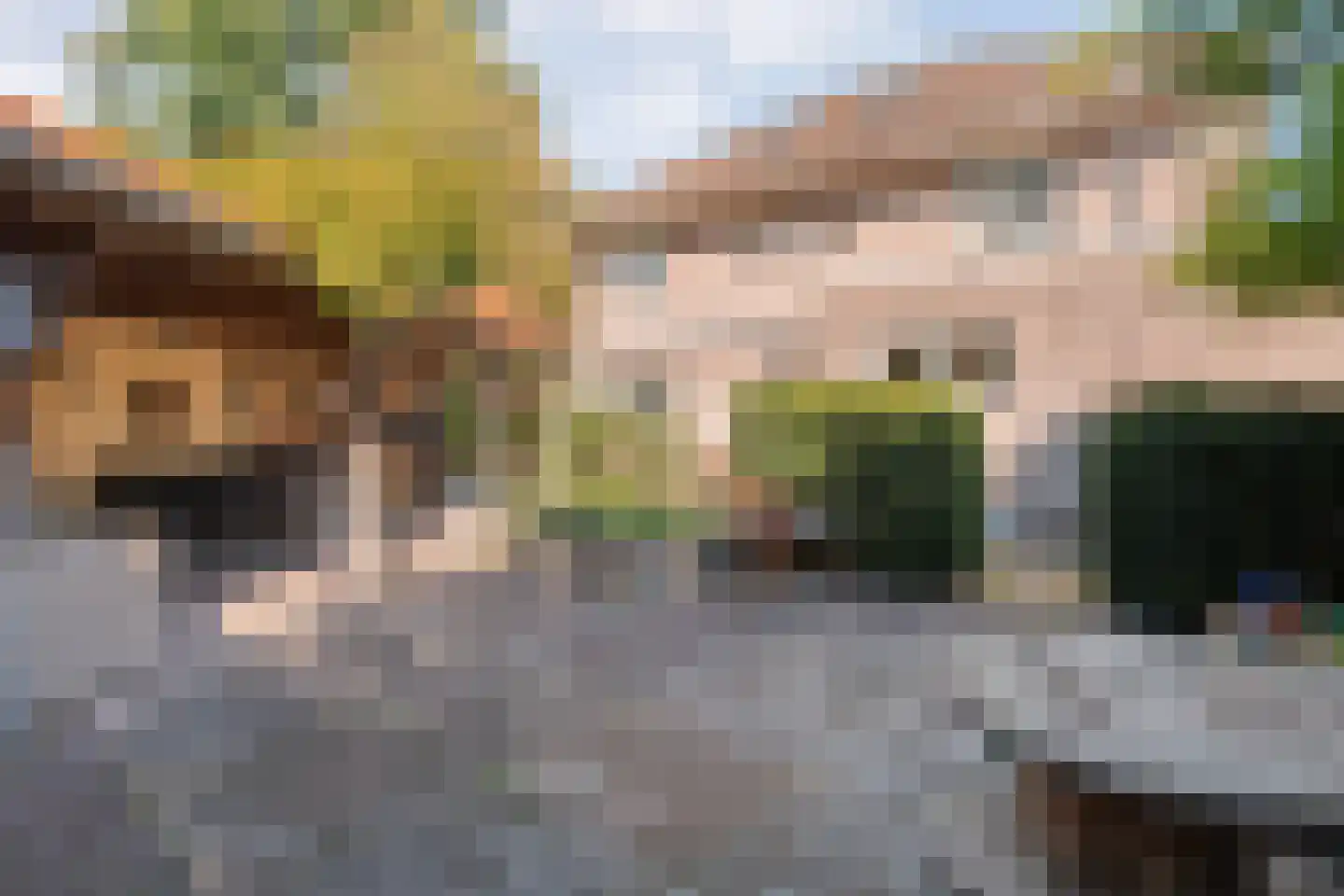 De Veurdele 58 Nijeveen thumbnail 4
