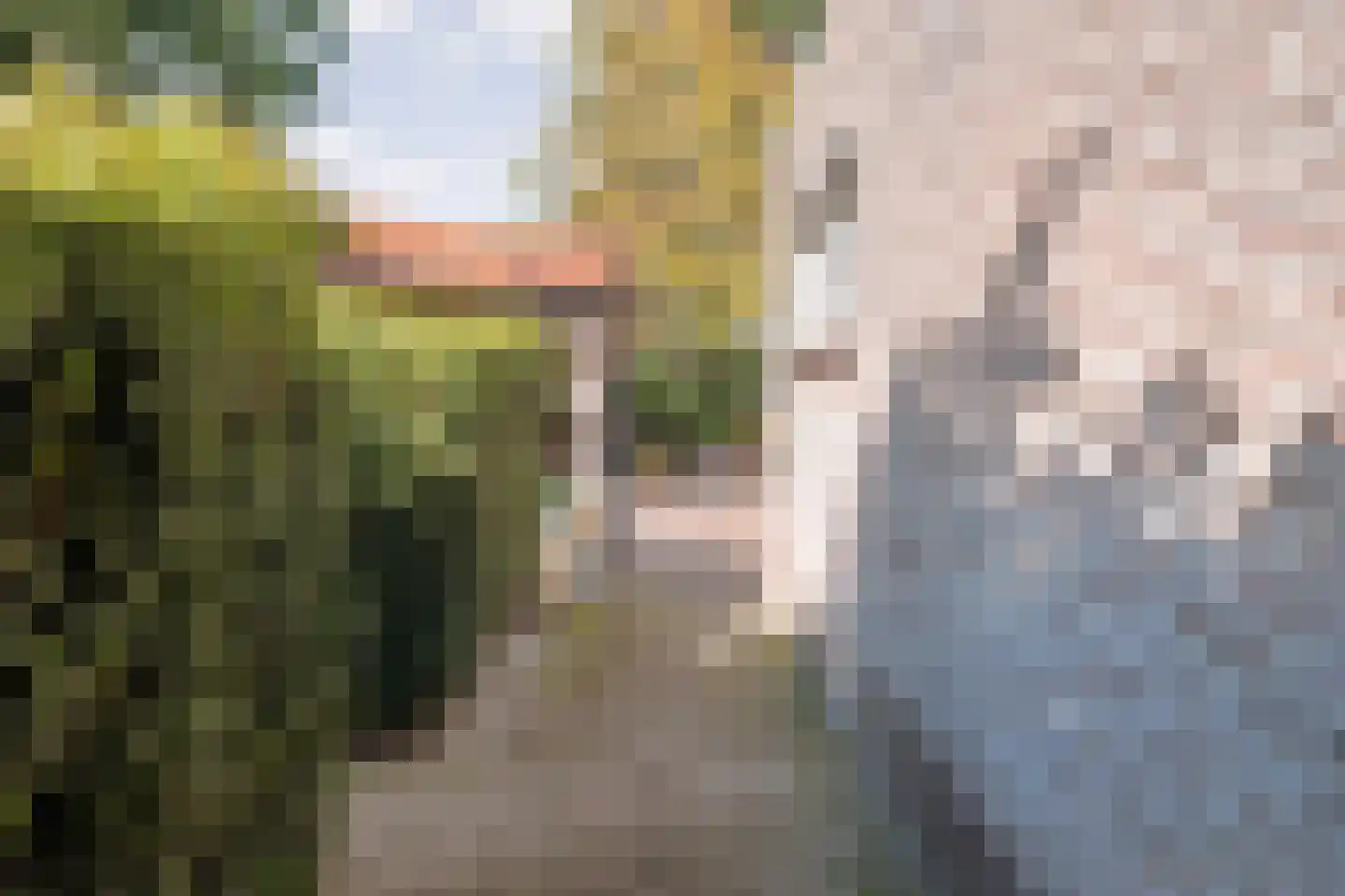 De Veurdele 58 Nijeveen thumbnail 43