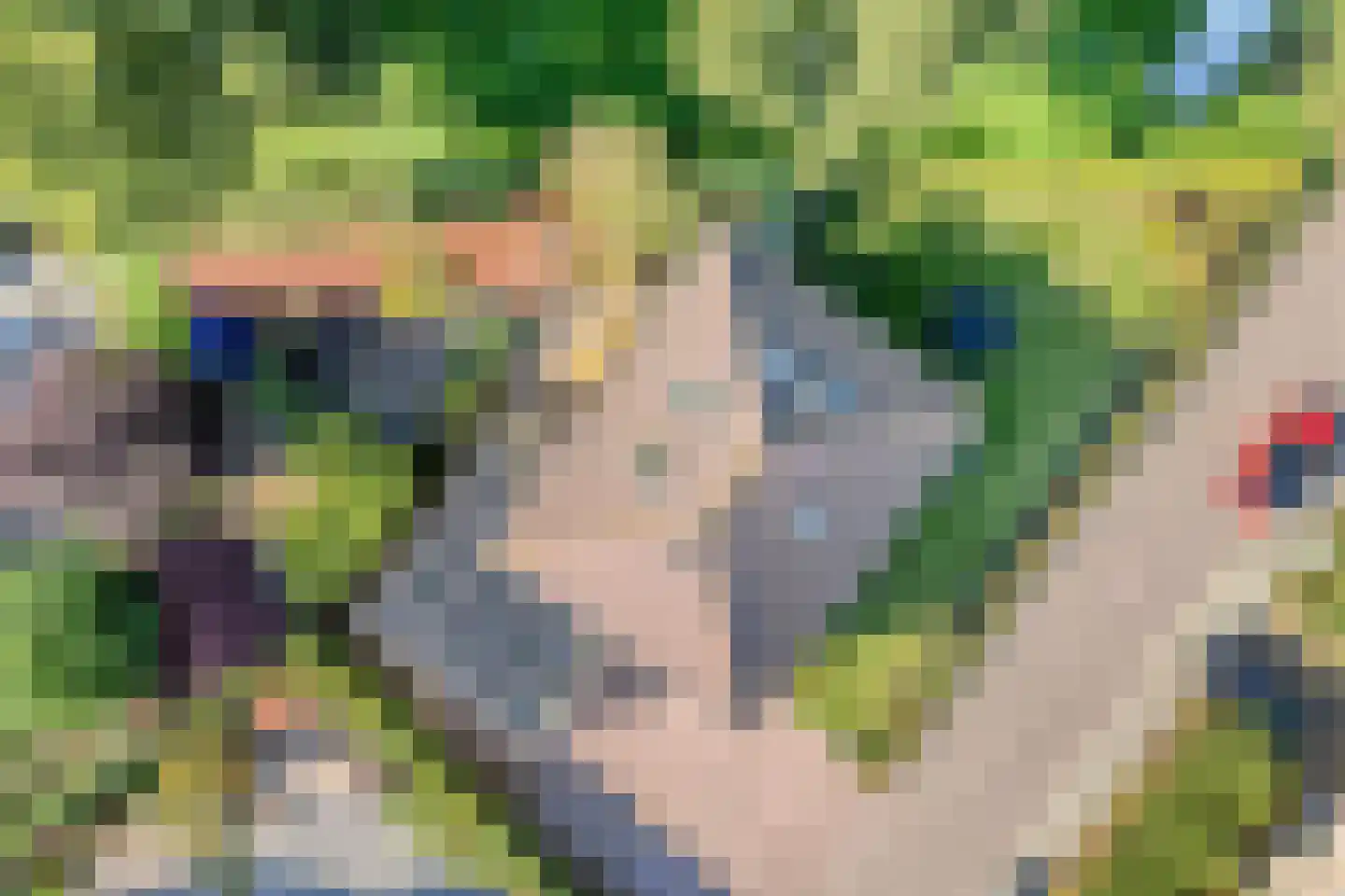 De Veurdele 58 Nijeveen thumbnail 56