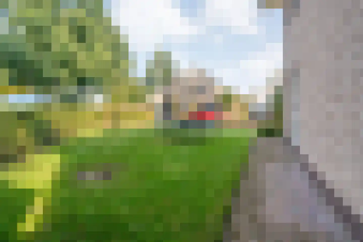 De Veurdele 58 Nijeveen thumbnail 60