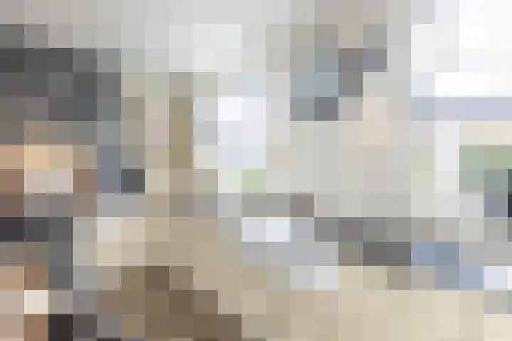 de Veurden 1 Vragender thumbnail 10