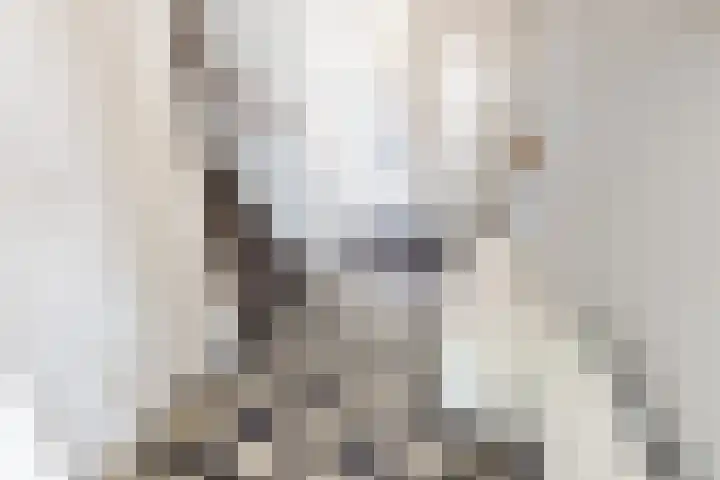 de Veurden 1 Vragender thumbnail 16