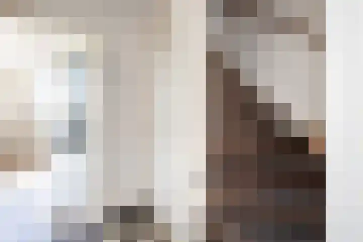 de Veurden 1 Vragender thumbnail 18