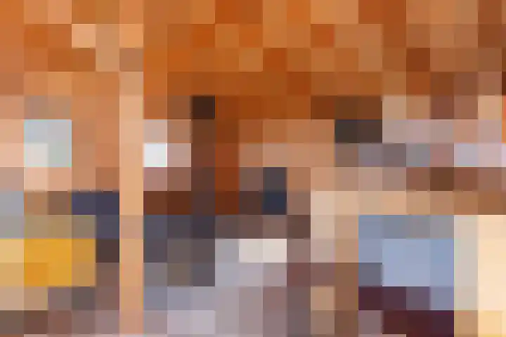 de Veurden 1 Vragender foto 3