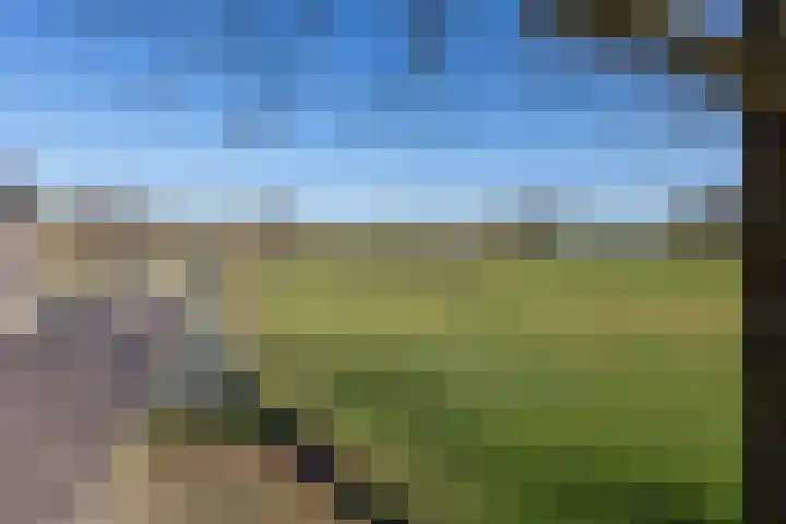 de Veurden 1 Vragender thumbnail 54