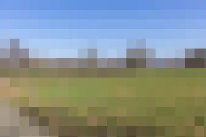 de Veurden 1 Vragender thumbnail 55