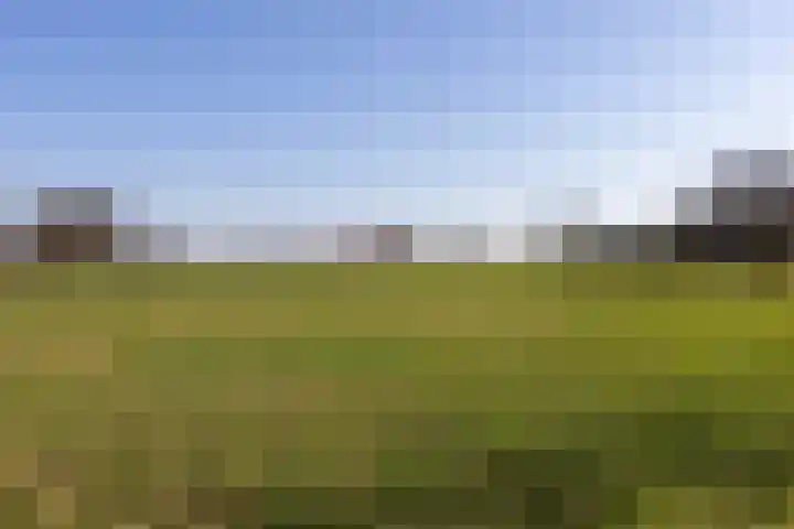de Veurden 1 Vragender thumbnail 56