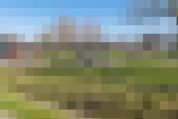 de Veurden 1 Vragender thumbnail 57