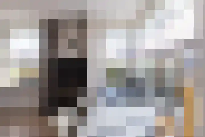 de Veurden 1 Vragender thumbnail 6