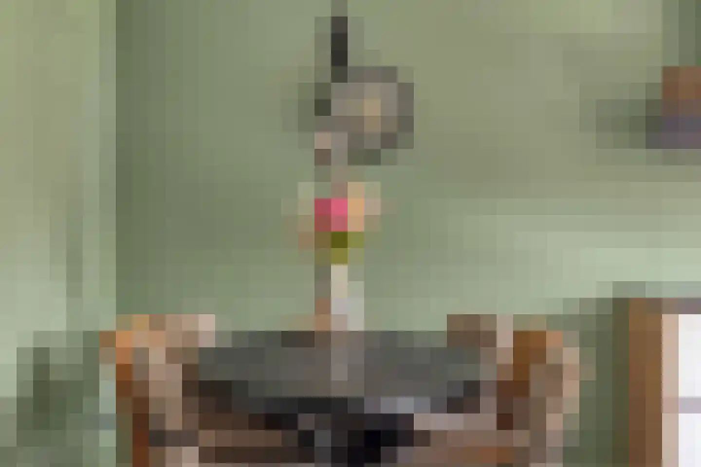 de Veurden 2 Vragender thumbnail 13