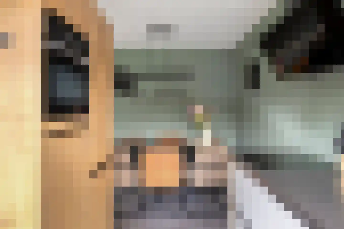 de Veurden 2 Vragender thumbnail 15