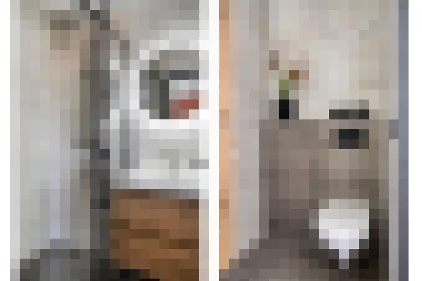 de Veurden 2 Vragender thumbnail 21