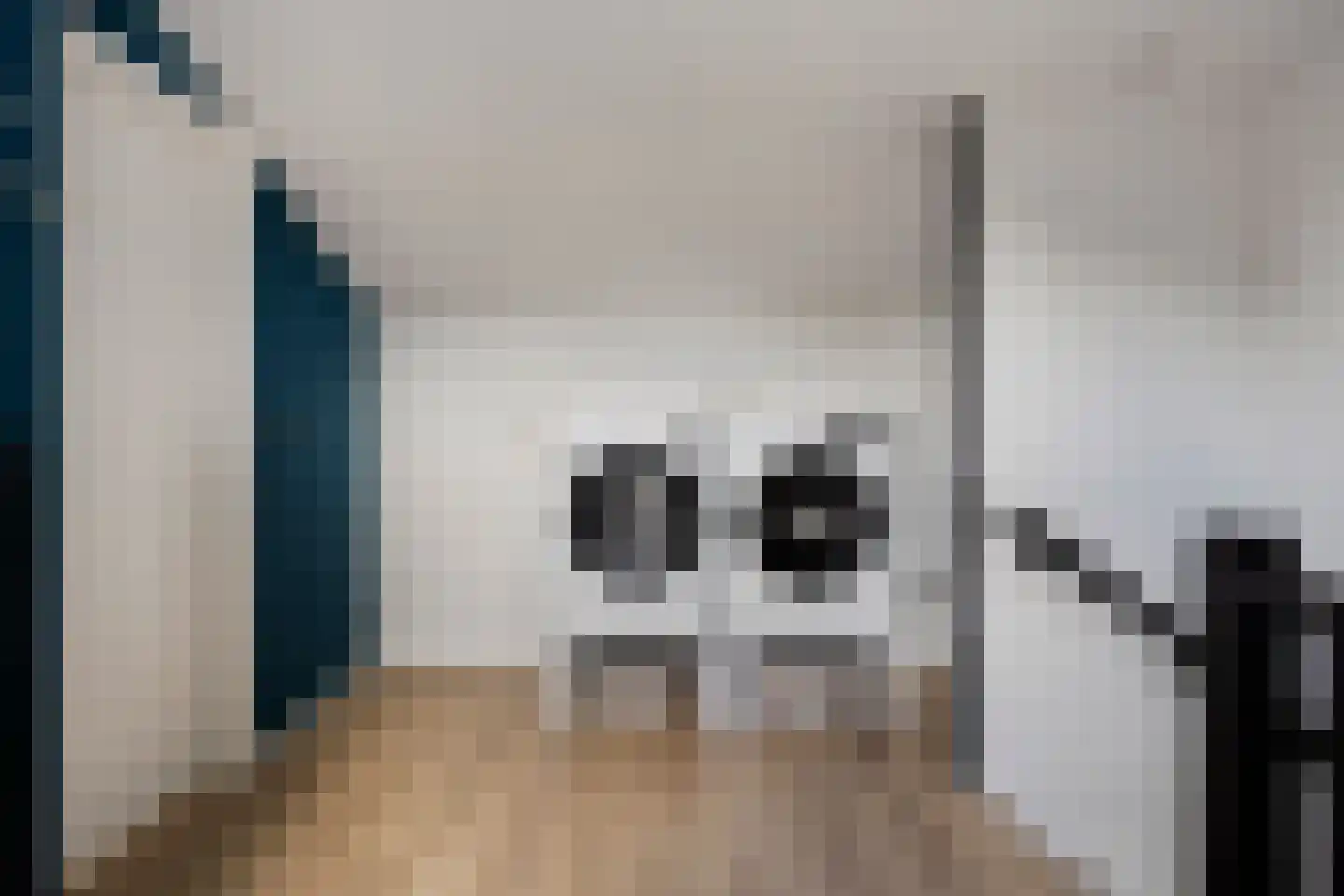 de Veurden 2 Vragender thumbnail 25