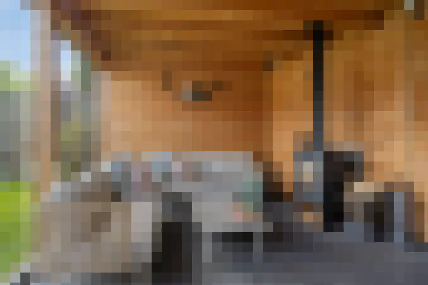 de Veurden 2 Vragender thumbnail 33