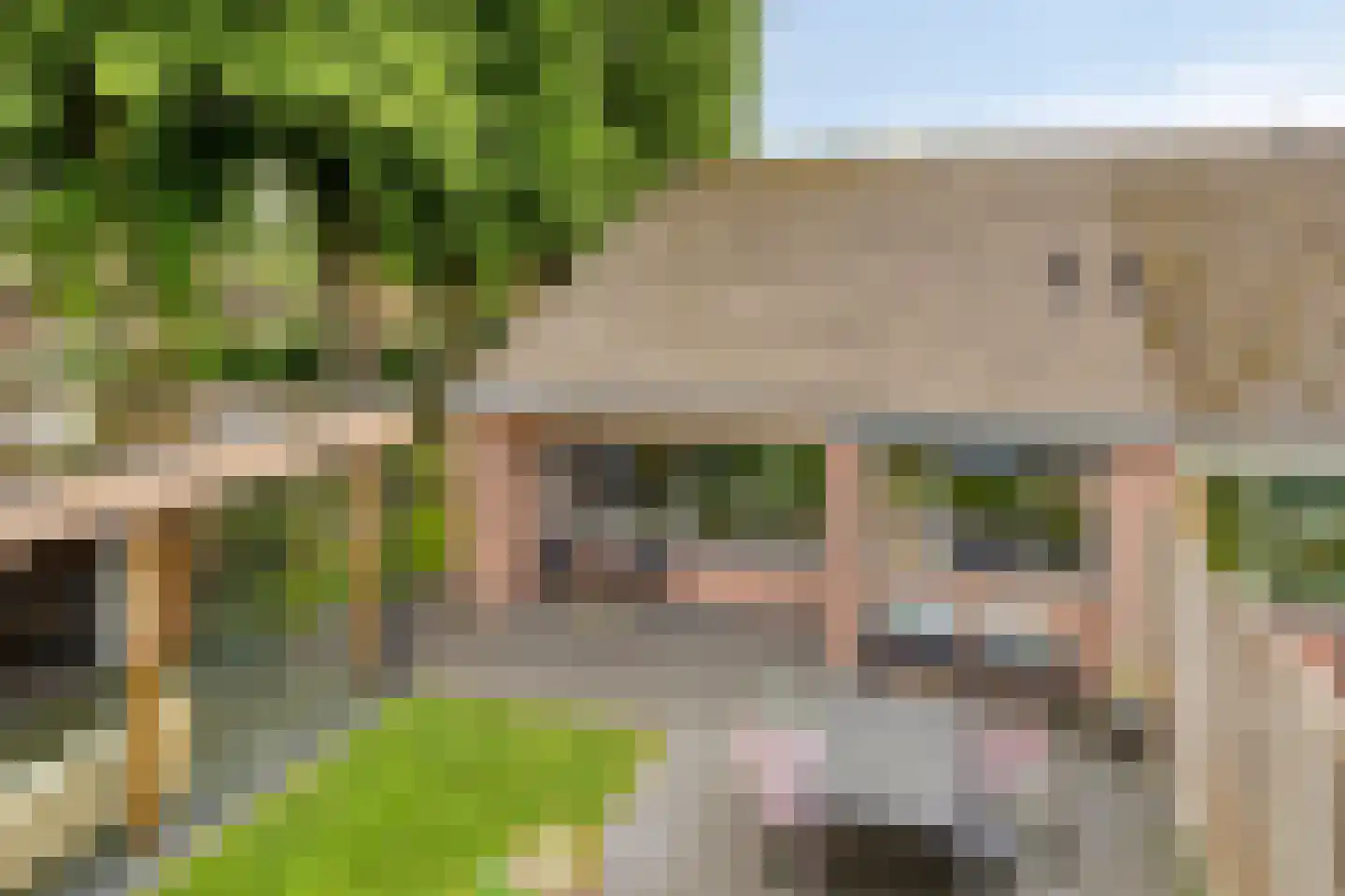 de Veurden 2 Vragender thumbnail 37