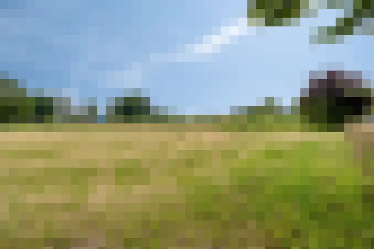 de Veurden 2 Vragender thumbnail 42