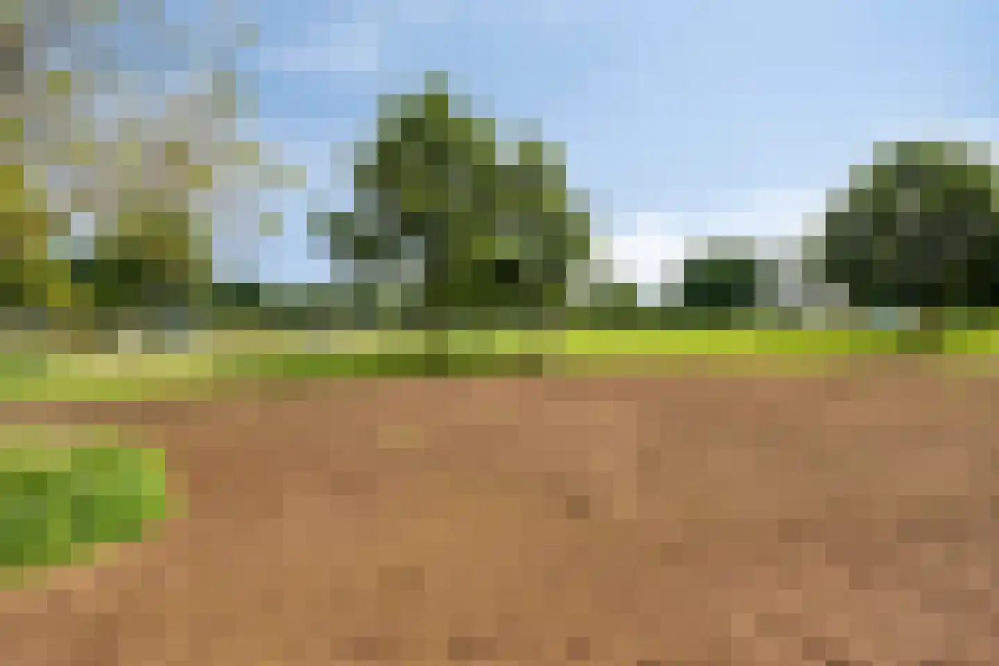 de Veurden 2 Vragender thumbnail 43