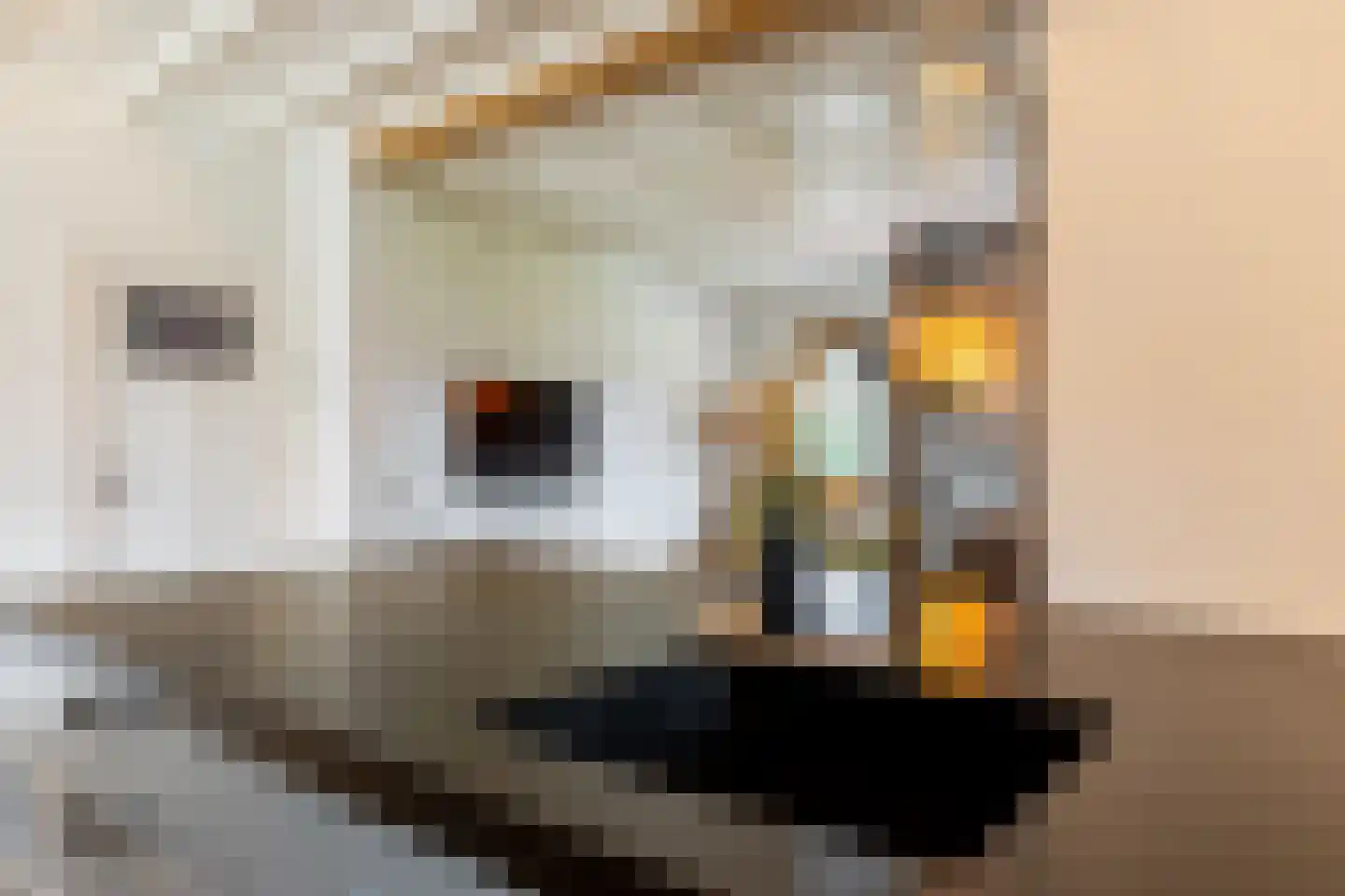 de vier Uitersten 10 Oirschot thumbnail 23
