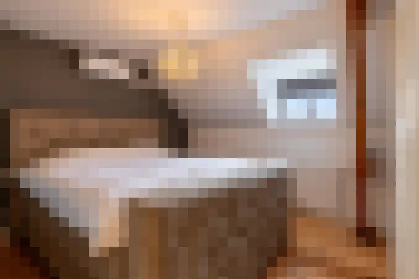 de vier Uitersten 10 Oirschot thumbnail 26
