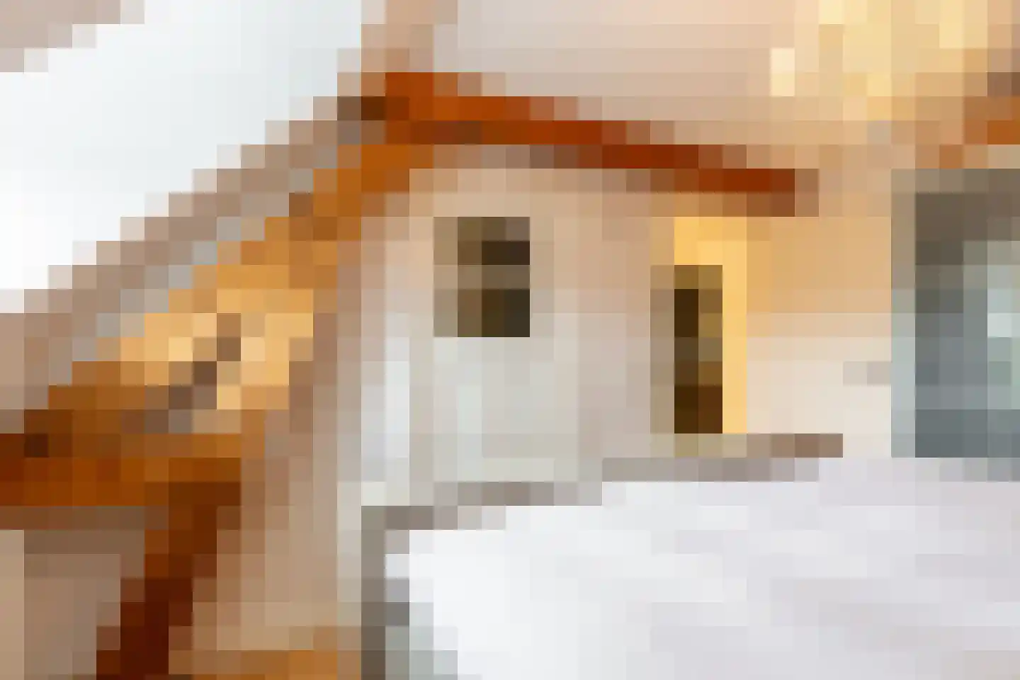 de vier Uitersten 10 Oirschot thumbnail 27
