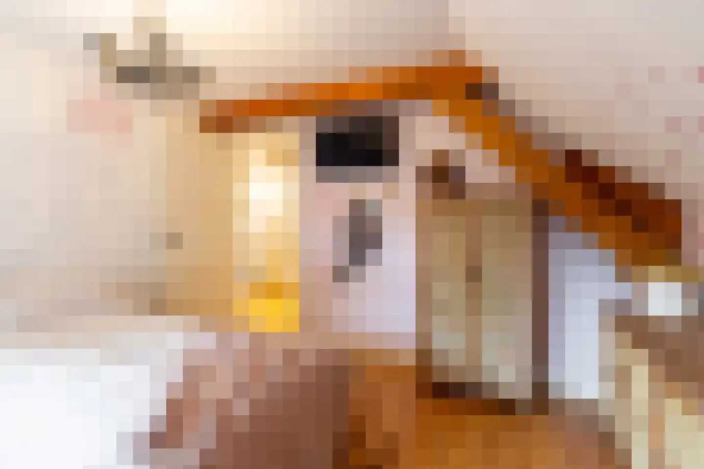 de vier Uitersten 10 Oirschot thumbnail 29
