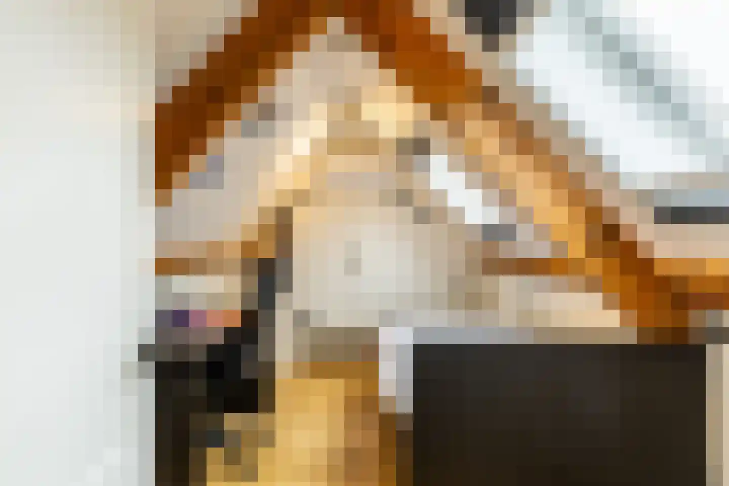 de vier Uitersten 10 Oirschot thumbnail 35