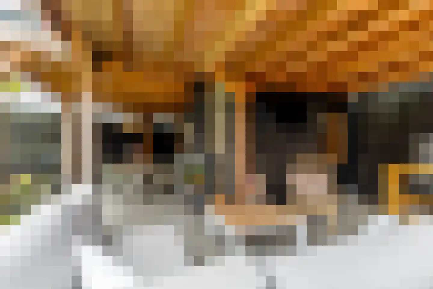 de vier Uitersten 10 Oirschot thumbnail 42