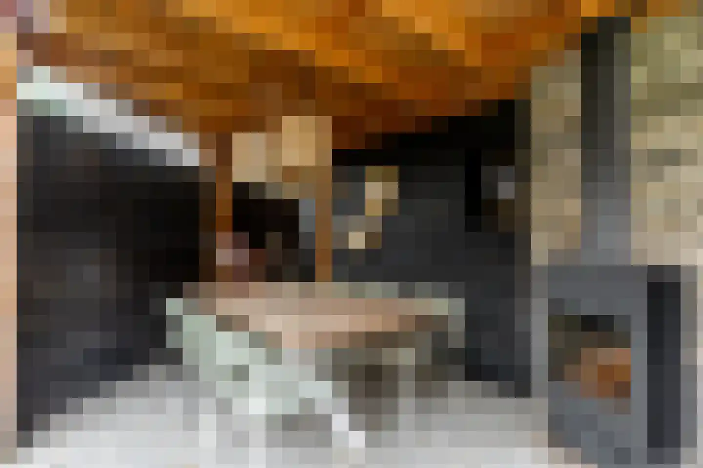 de vier Uitersten 10 Oirschot thumbnail 43
