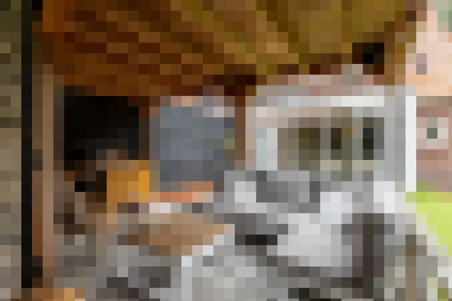 de vier Uitersten 10 Oirschot thumbnail 44