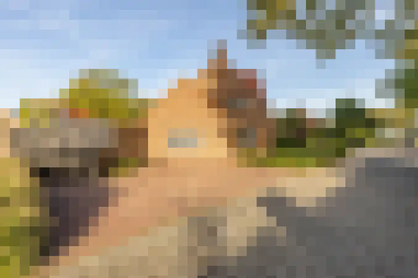 de vier Uitersten 10 Oirschot thumbnail 53