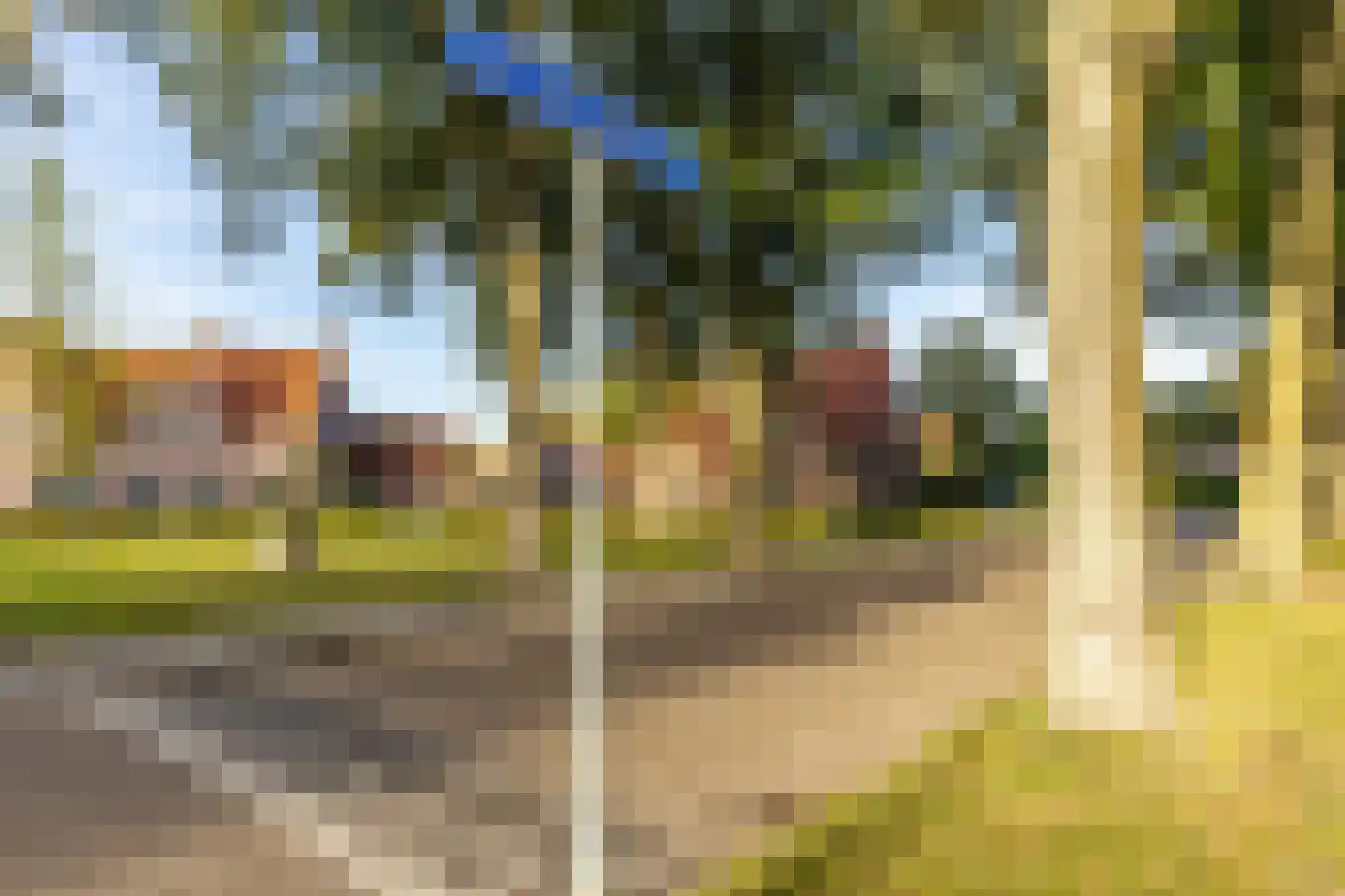 de vier Uitersten 10 Oirschot thumbnail 55