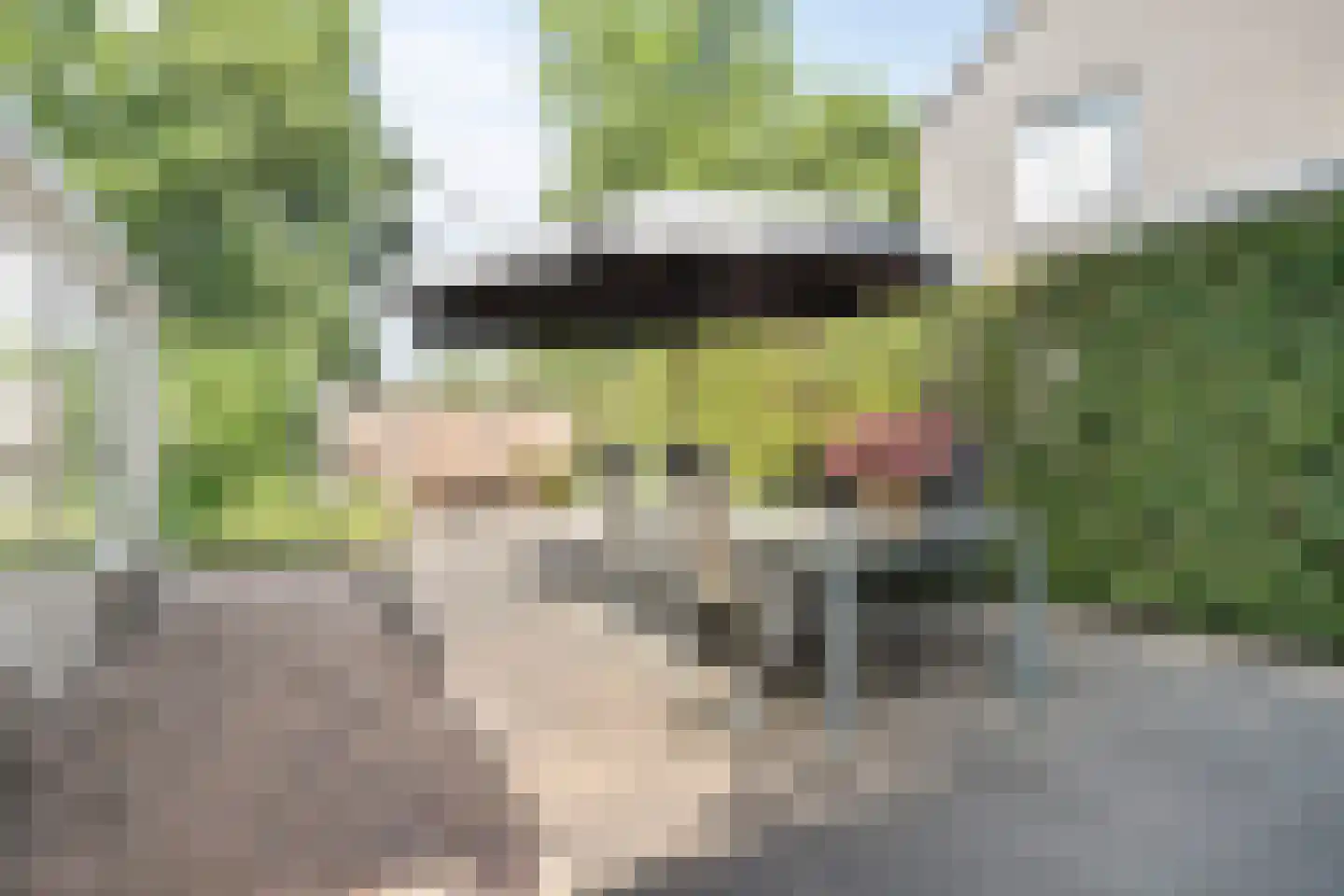 de vier Uitersten 16 Oirschot thumbnail 42