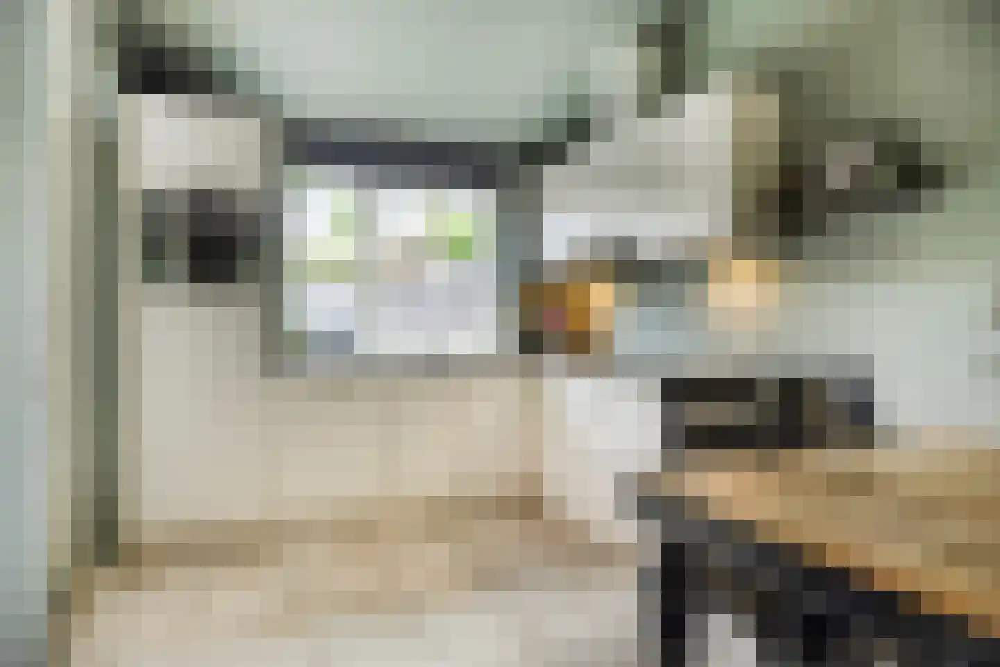de vier Uitersten 20 Oirschot thumbnail 14