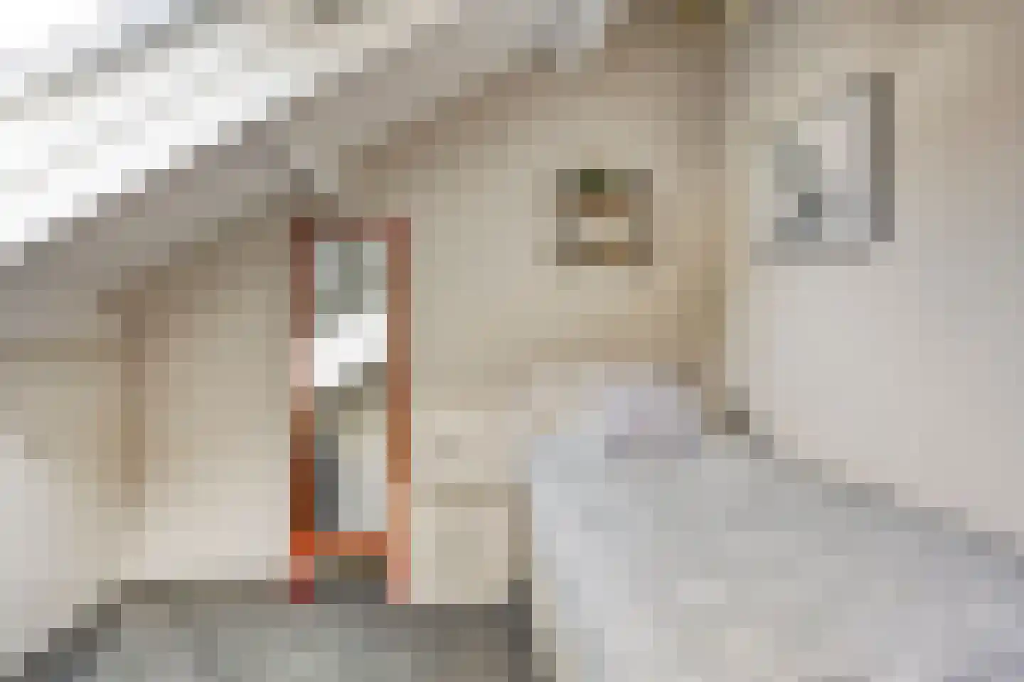de vier Uitersten 20 Oirschot thumbnail 24
