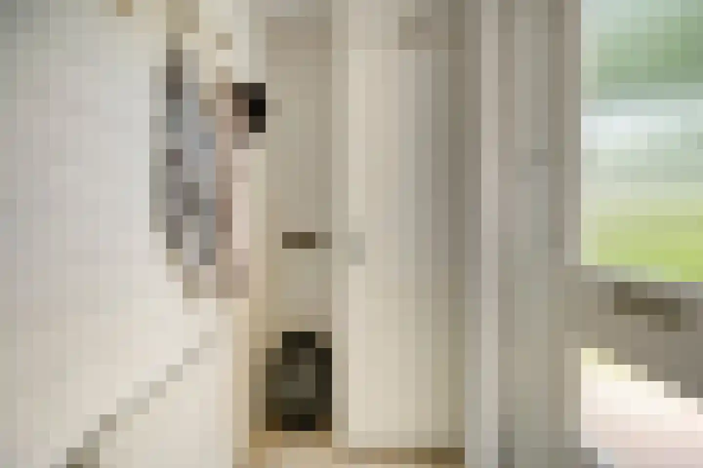 de vier Uitersten 20 Oirschot thumbnail 8