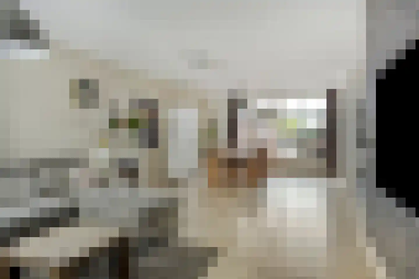 de vier Uitersten 20 Oirschot thumbnail 9