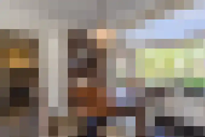 de vier Uitersten 24 Oirschot thumbnail 13