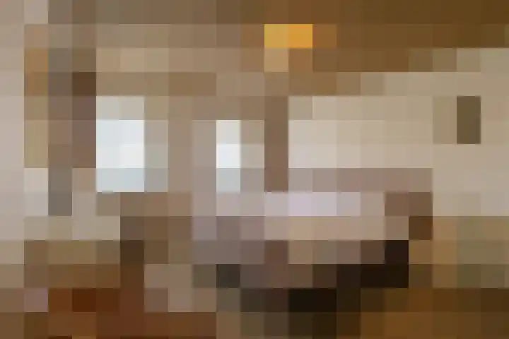 de vier Uitersten 24 Oirschot thumbnail 17