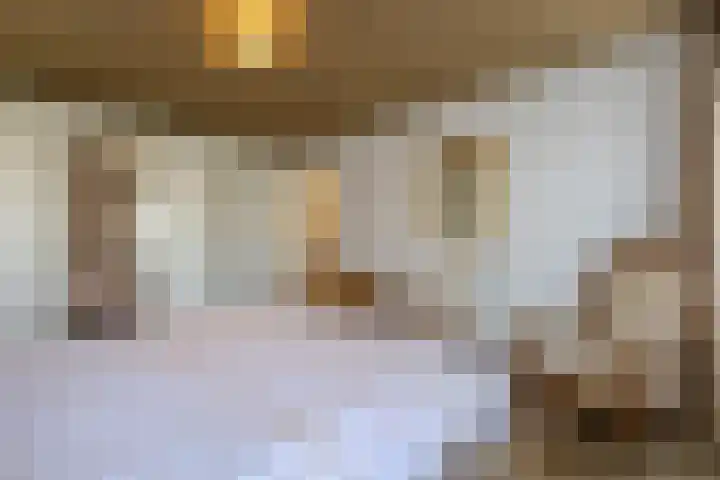 de vier Uitersten 24 Oirschot thumbnail 18