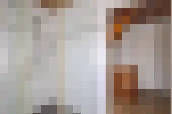 de vier Uitersten 24 Oirschot thumbnail 22
