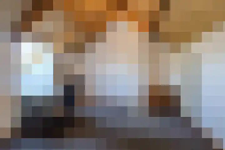 de vier Uitersten 24 Oirschot thumbnail 24