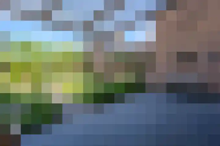 de vier Uitersten 24 Oirschot thumbnail 28