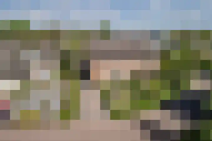 de vier Uitersten 24 Oirschot thumbnail 29