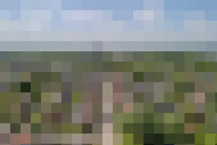 de vier Uitersten 24 Oirschot thumbnail 31