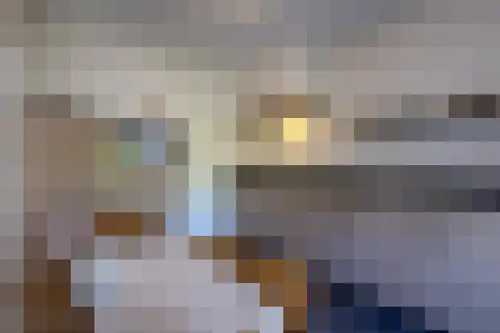 de vier Uitersten 24 Oirschot thumbnail 4