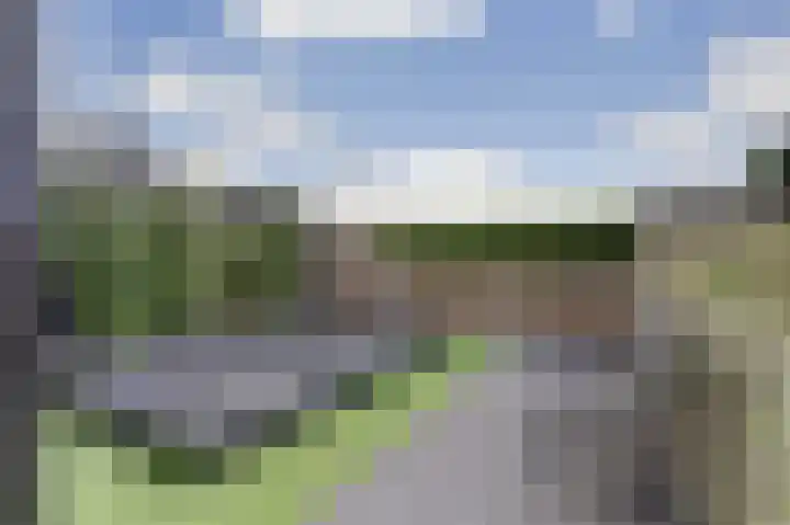 De Vier Winden 10 Zeewolde thumbnail 34