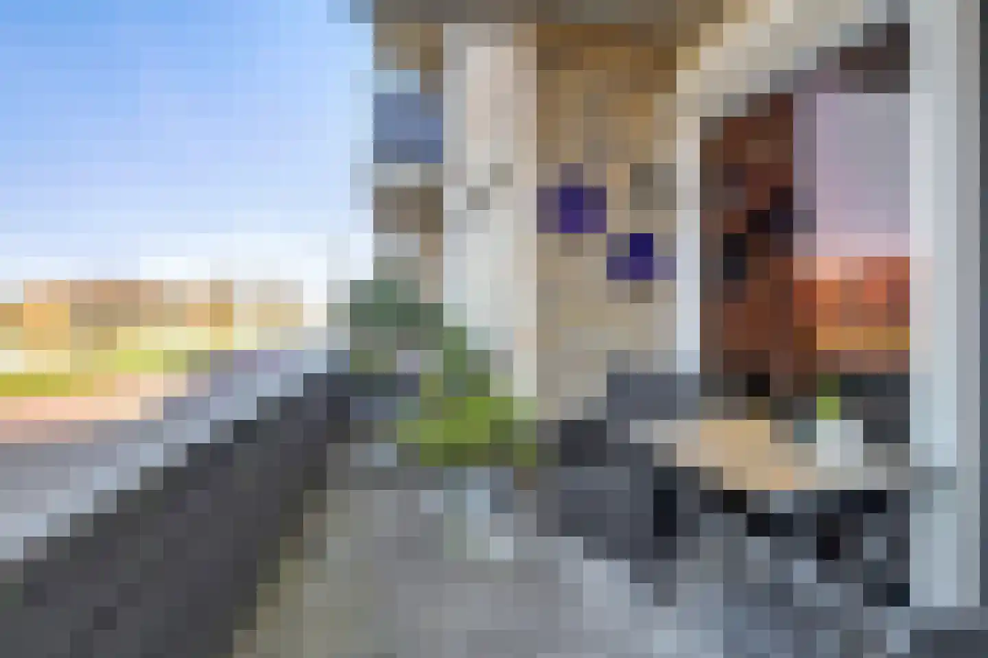 De Vier Winden 10 Zeewolde thumbnail 9